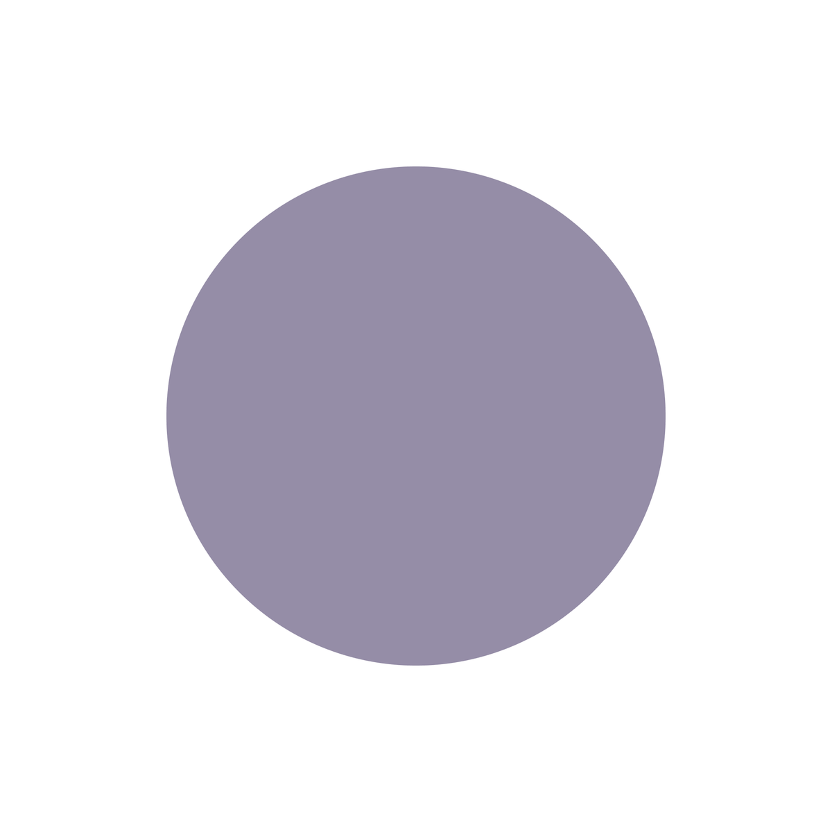VH-067 · #958DA7