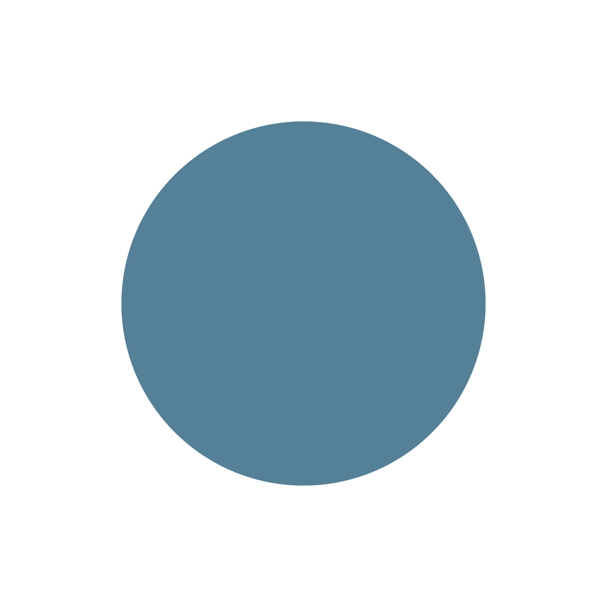 IBNF-030 · #558198