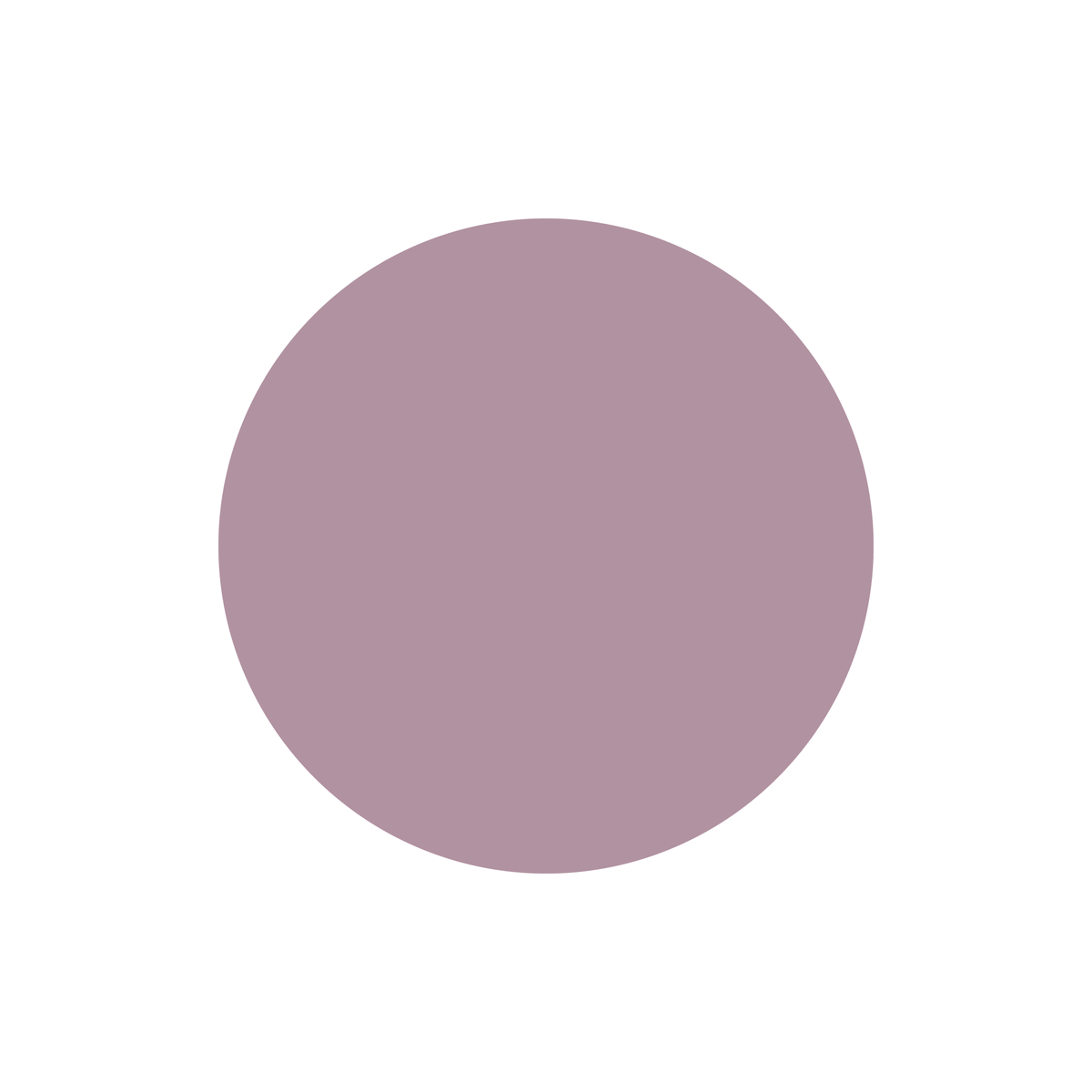 PPE-070 · #B192A1